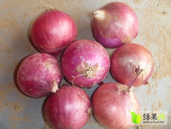2014年山东惠民红皮洋葱价格