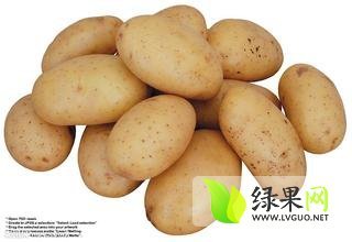 内蒙古多伦荷兰十五土豆绿色无公害