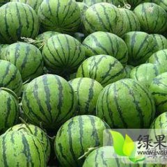 北林西瓜大量上市，质量好，价格优