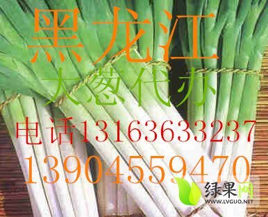 2014年黑龙江北林长白大葱价格
