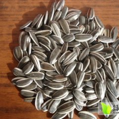 产地大量供应葵瓜子，西瓜籽，葫芦籽