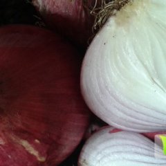 山东省烟台市莱阳市