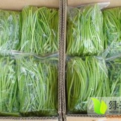 红薯叶有提高免疫力、止血、防治夜盲症之功效