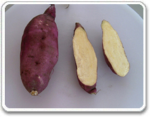 供应大量食品厂专用红薯，品质优良