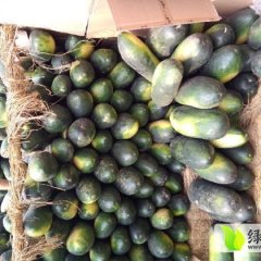 本地黑冬瓜供货量大，价格合理，欢迎前来考察