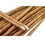 我公司现求购一批优质牛蒡，产地不限，品种不