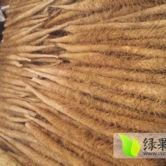 山东苍山白玉山药：庄坞镇王祥