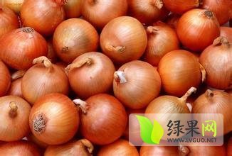 红皮洋葱种植面积大，货源充足，质量第一