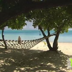 内蒙古牙克石荷兰七号土豆上货量大