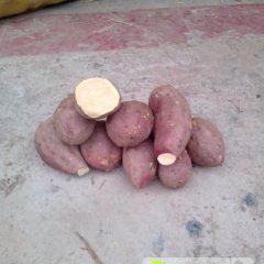 四川资阳红薯，种植面积大，货源充足，质量保证