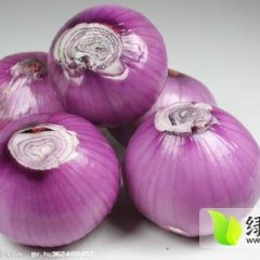 紫皮、白皮洋葱