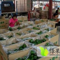 商丘夏邑县北镇乡刘集村辣椒代办处