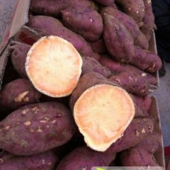 大量供应红香蕉红苏薯八号红薯 上货效率快，质