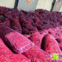 忻府真檀刘斌8月金塔辣椒