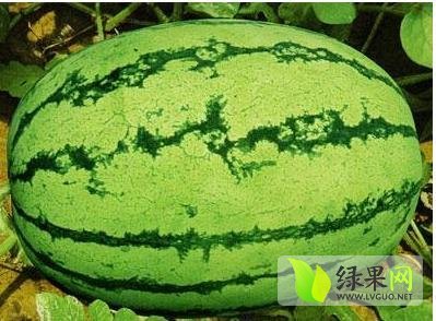 2014年内蒙古乌拉特前旗西农系列价格