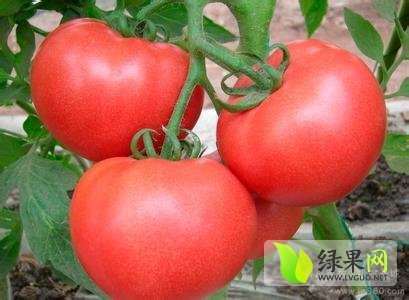 2014年山东东昌府硬粉价格