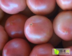 一年四季蔬菜齐全，品质好，价格优惠