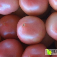 一年四季蔬菜齐全，品质好，价格优惠