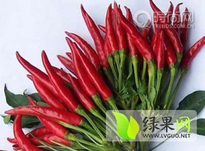 襄县辣椒代收，诚招全国各地收购商