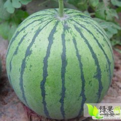 南乐县五一大量上市甜王西瓜量大，品质优