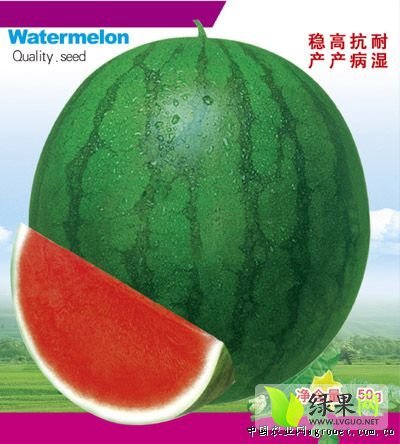 绿力无籽西瓜价格