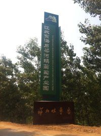 江苏东海巨峰葡萄价格行情平稳