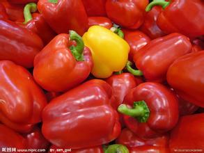 2014成武辣椒值得出手