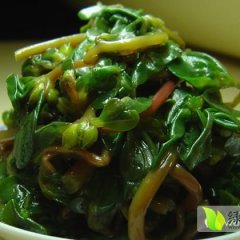 马蜂菜能清热解毒，凉血止血，能降低血糖浓度