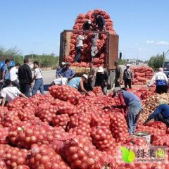齐齐哈尔市黄皮洋葱保质期长，耐储存