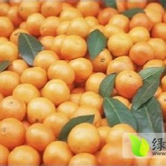宜昌温州密柑柑橘香甜爽口、营养丰富、口感极