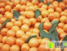 宜昌温州密柑柑橘香甜爽口、营养丰富、口感极