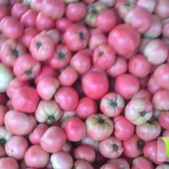 延博蔬菜市场欢迎您