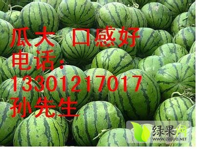 地雷价格