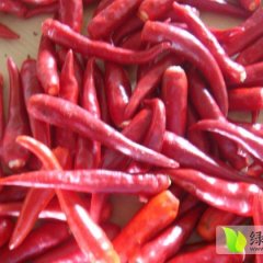 大量收购优质金塔,供应辣椒酱—红久久辣椒