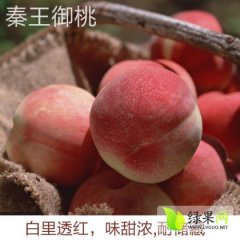 陕西礼泉秦王桃代办