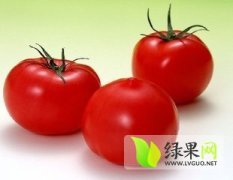 睢阳娄店朱威威7月夏宝西红柿