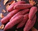 鹿泉红薯价格优惠 品质有保证 货量大