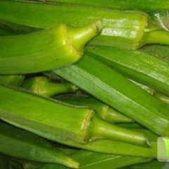 本人现有大量的黄秋葵 香甜可口