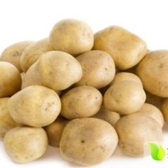 察右中旗土豆质量好 皮色亮 价格优惠