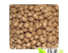 大名山药豆比较大 颜色好 欢迎来洽谈