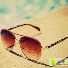 内蒙古大量葵花上市预出售 品种多 颗粒饱