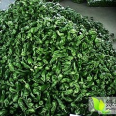 费县薛庄孙伟9月砀椒三号辣椒