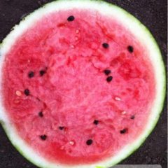 大量晚西瓜已经上市 欢迎前来洽谈