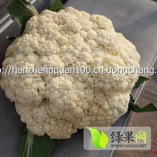 2014年江苏沛县白面青梗松花菜价格