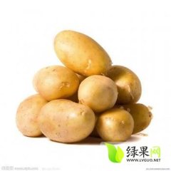 察右后旗土豆质量优 圆润光滑 大小均匀