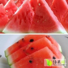 内蒙古翁牛特旗京欣西瓜随行就市