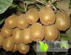 西安常年供应猕猴桃 质量有保证
