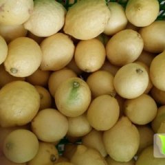 四川常年大量供应安岳鲜柠檬 价格优惠