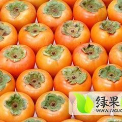 临猗柿子大量供应 口感香甜 品种繁多