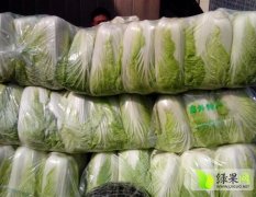 广州江南果菜市场代销全国各地各品种白菜